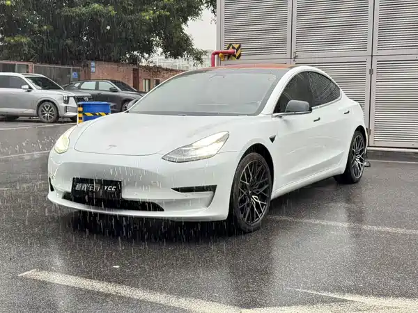 Tesla Model 3 2019