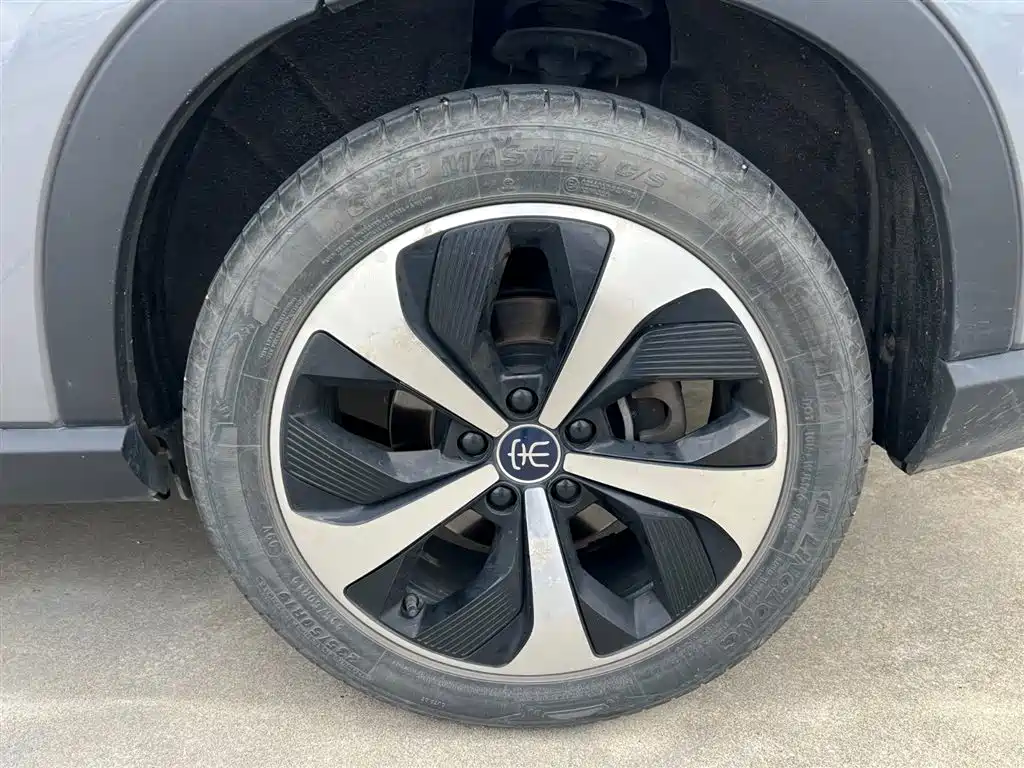 BYD PLUS New Energy 2021 — фото 20