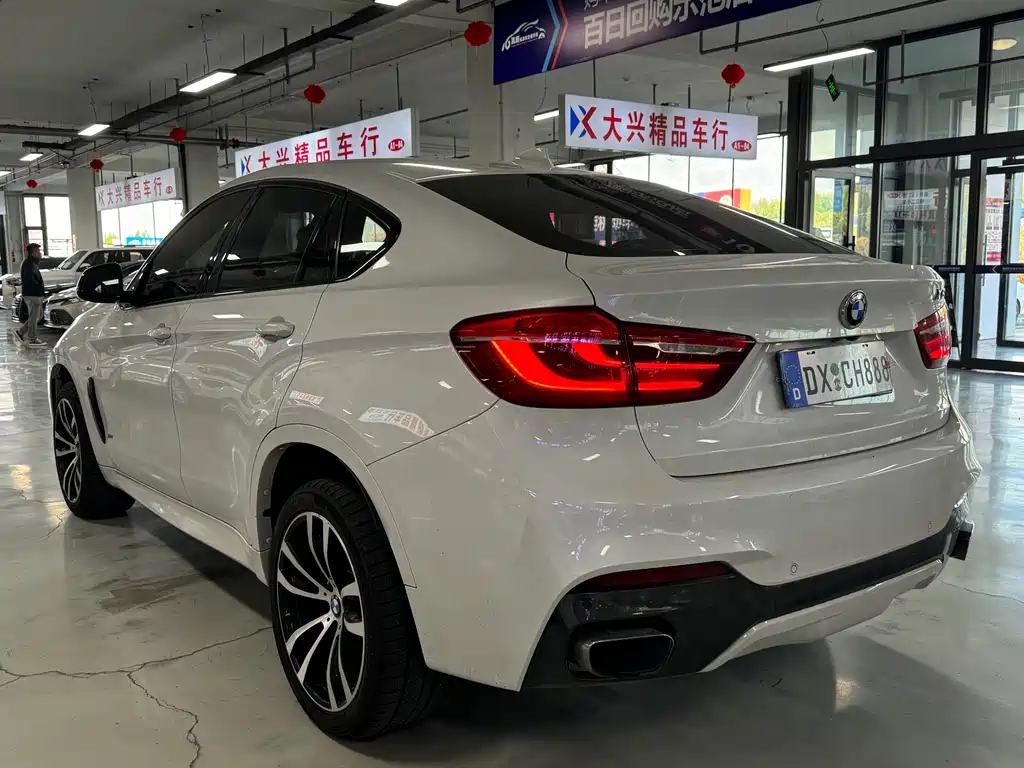 BMW X6 2019 — фото 6