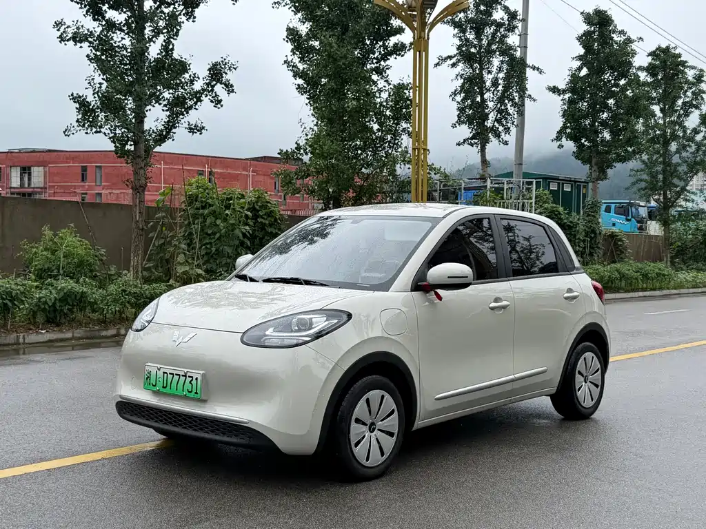 Wuling Bingo 2024