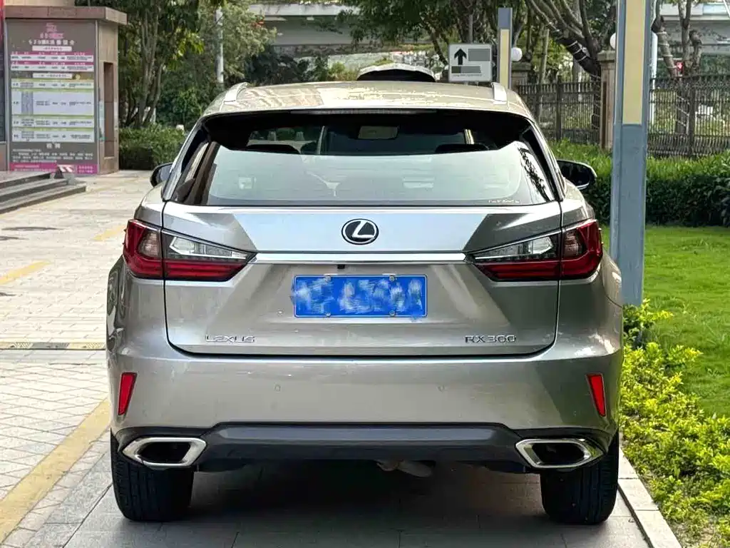 Lexus RX 2019 — фото 5