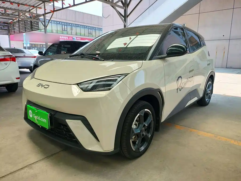 BYD Seagull 2024