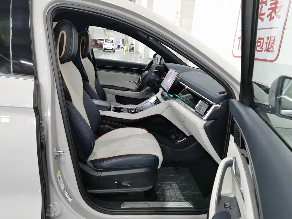 BYD Song PLUS New Energy 2024 — фото 23