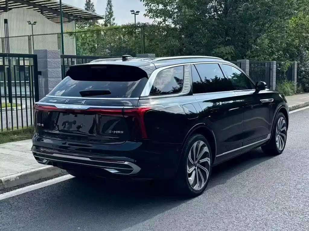 Hongqi E-HS9 2021
