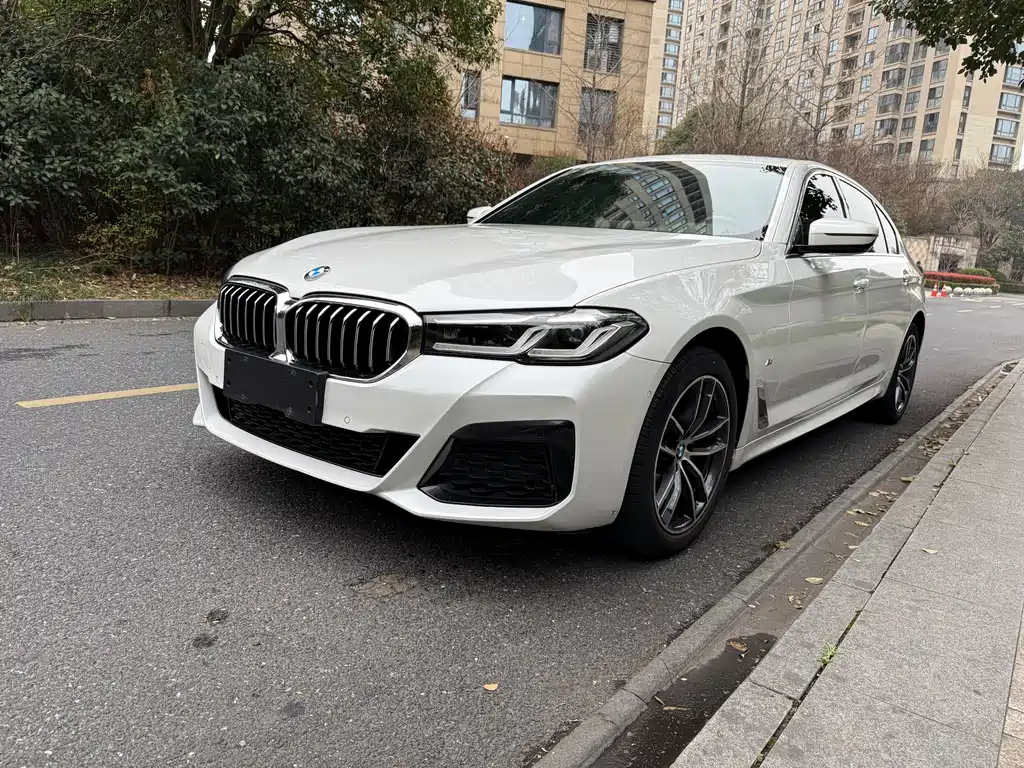 BMW 5 Series 2021