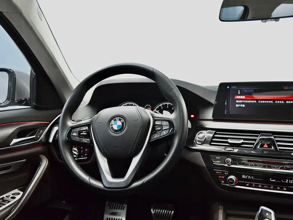 BMW 5 Series 2018 — фото 12