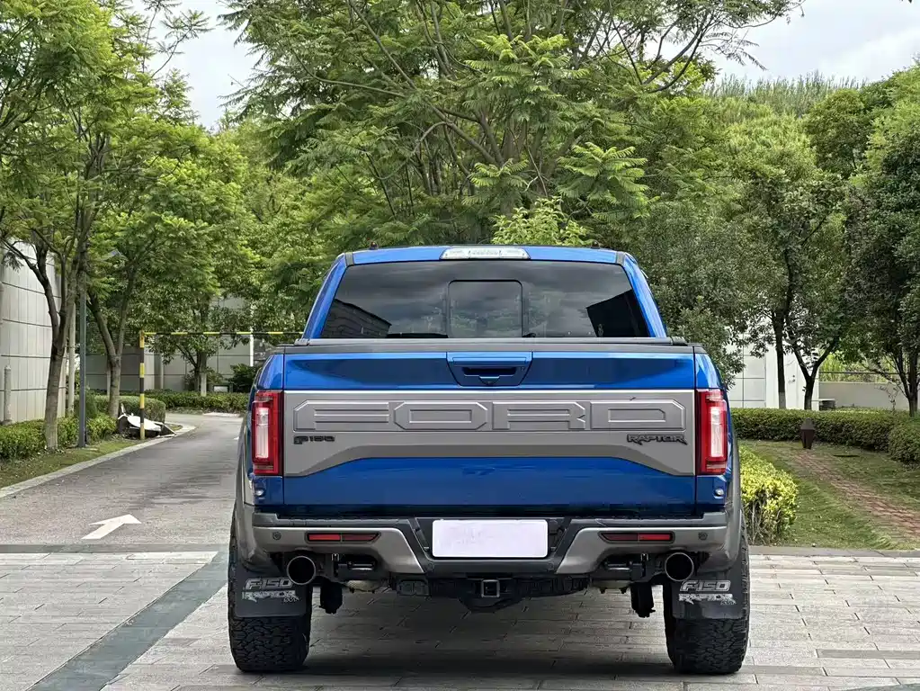 Ford F-150 Raptor 2019 — фото 5