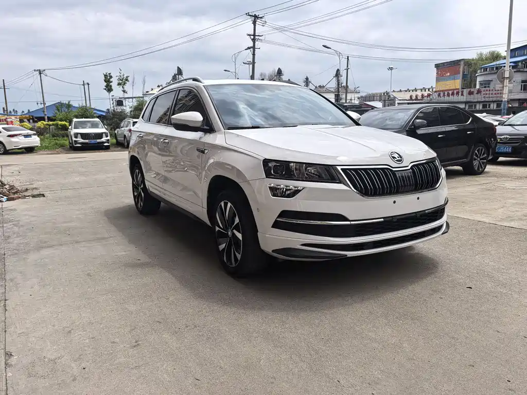 Skoda Karoq 2022 — фото 3