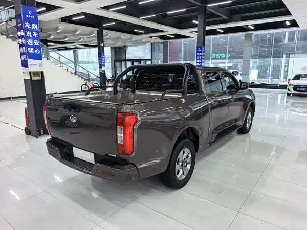 Great Wall Poer 2021