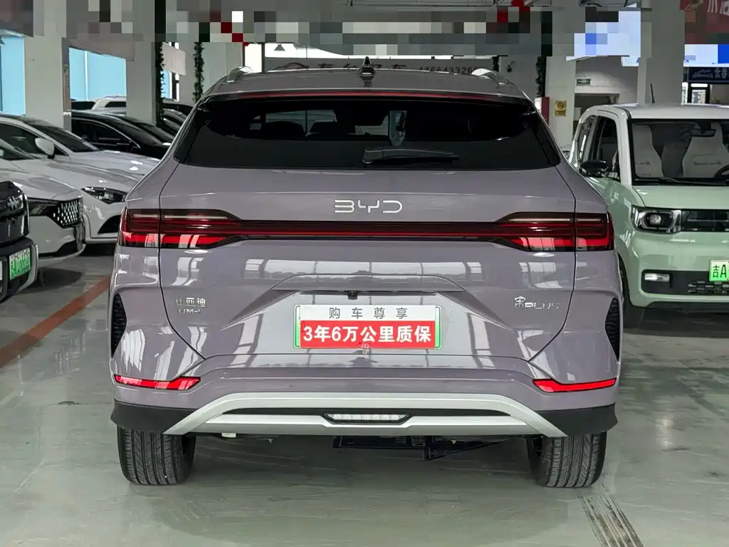 BYD PLUS New Energy 2024 — фото 4