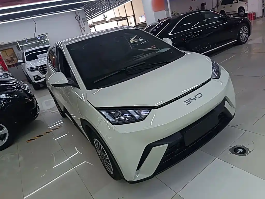 BYD Seagull 2024