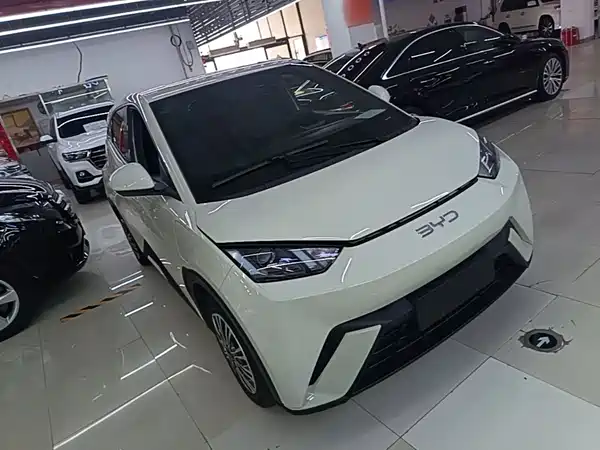 BYD Seagull 2024