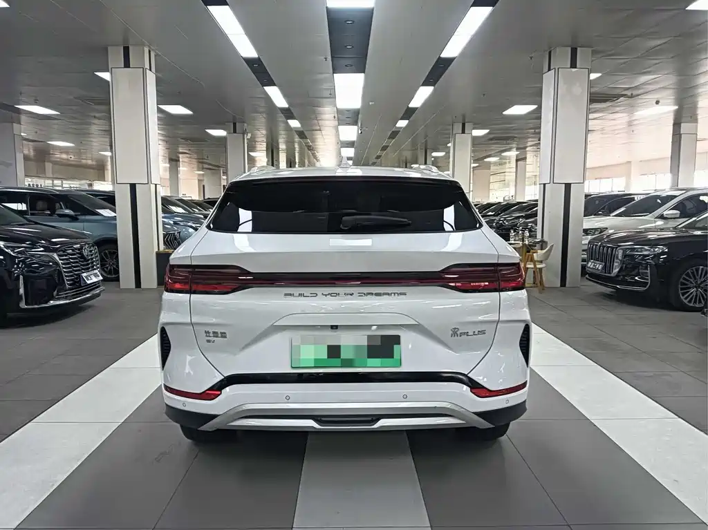 BYD PLUS New Energy 2023 — фото 11