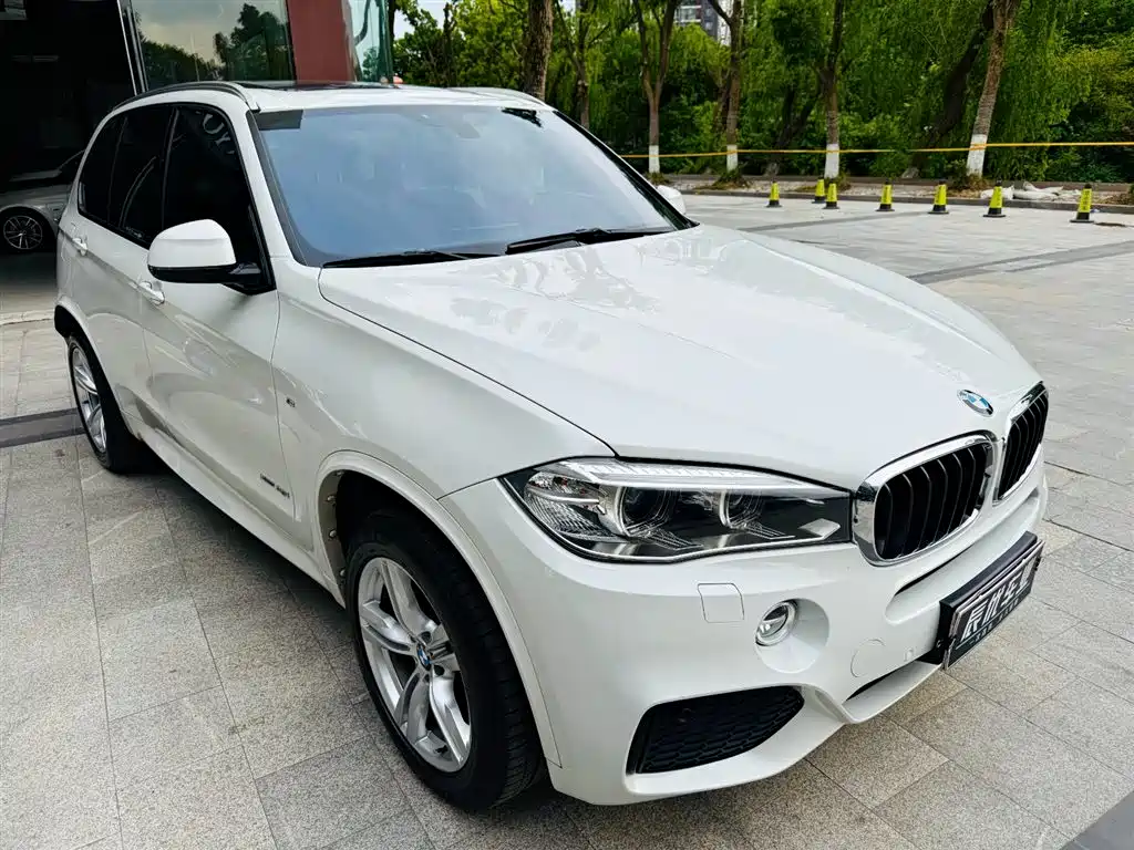 BMW X5 2017 — фото 6