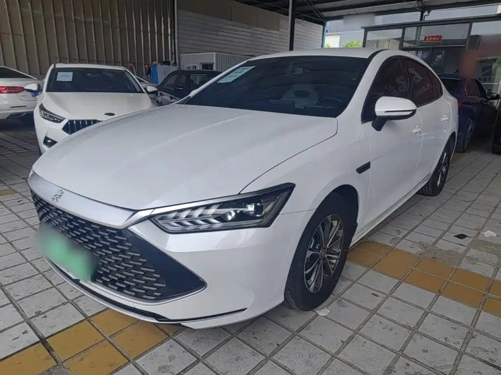 BYD Qin PLUS 2024 — фото 1