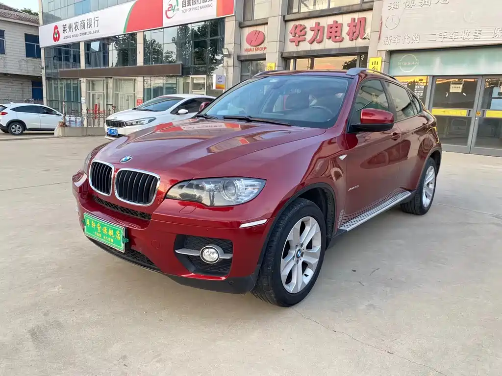 BMW X6 2010