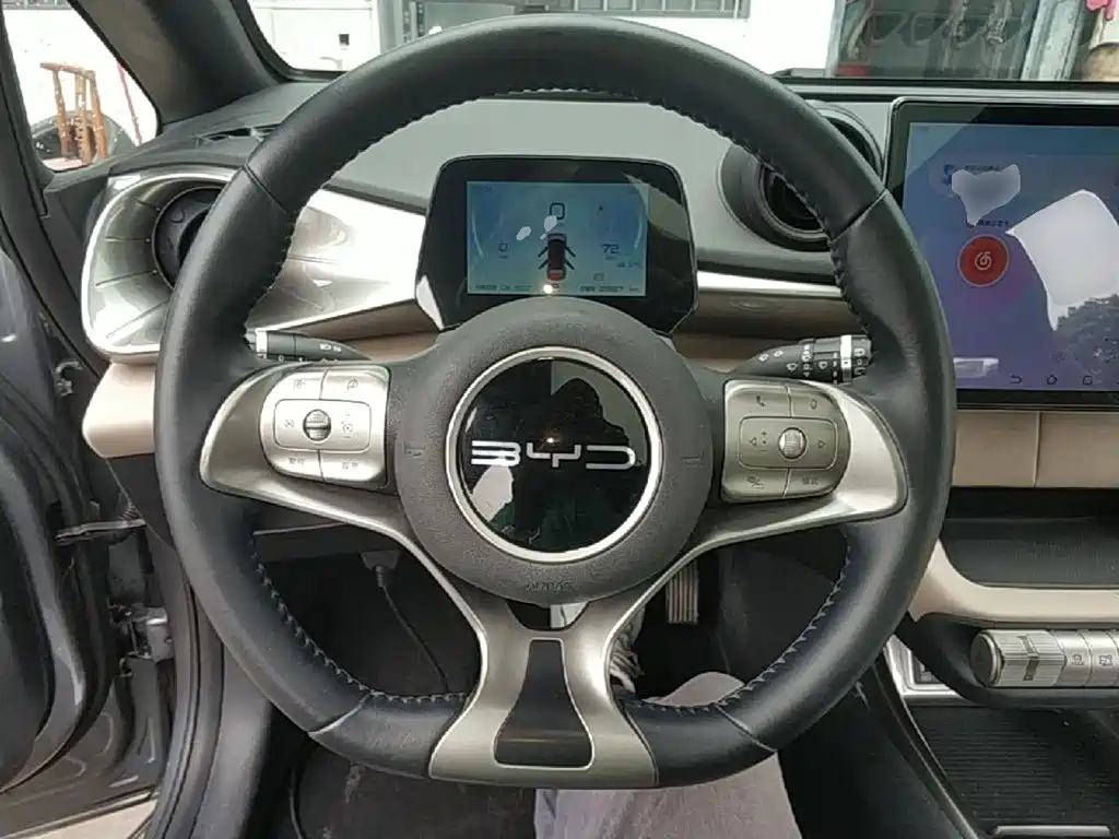 BYD Dolphin 2023 — фото 11