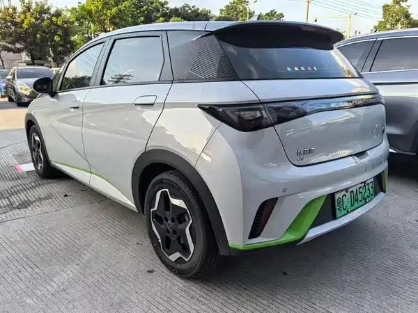 BYD Dolphin 2022