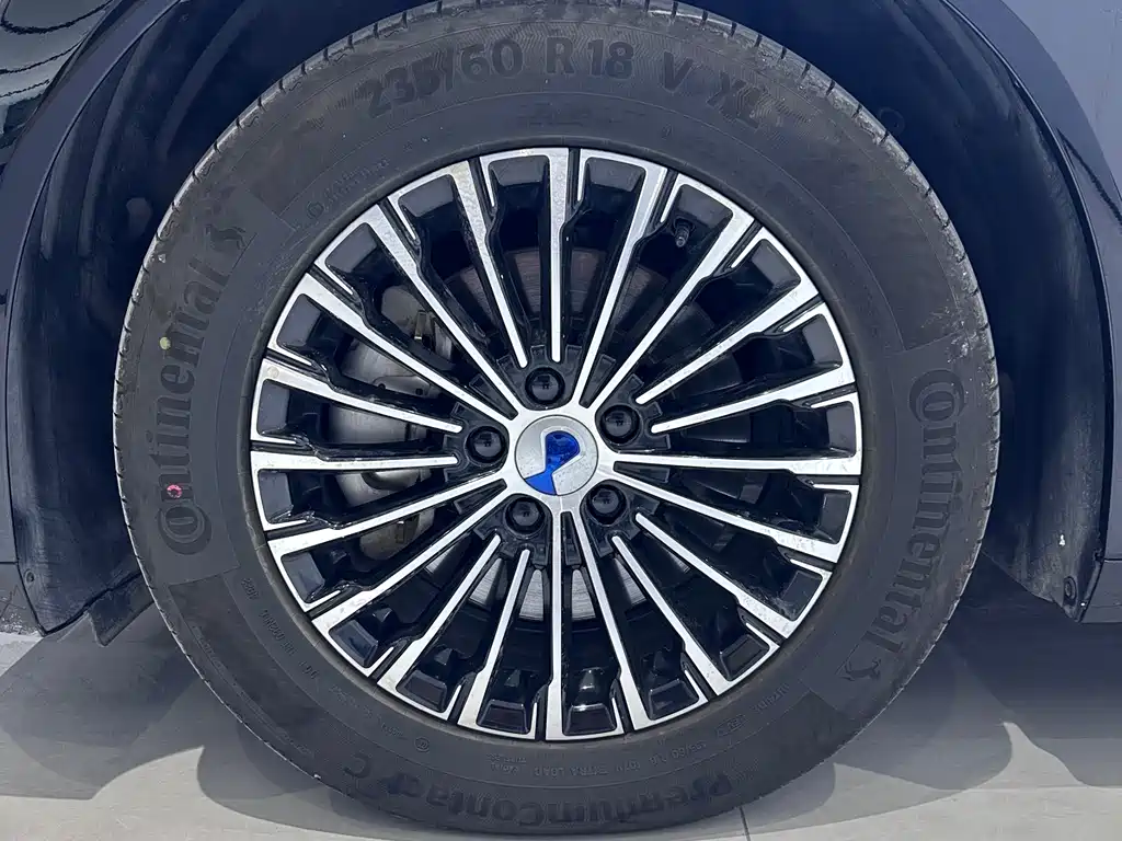 Denza D9 2023