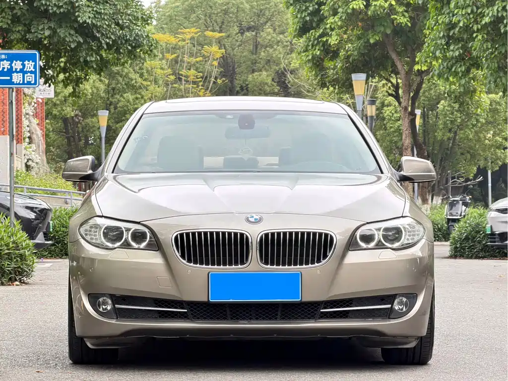 BMW 5 Series 2010