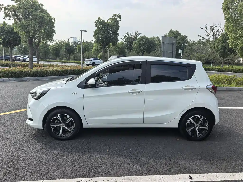 Changan Benben E-Star 2021