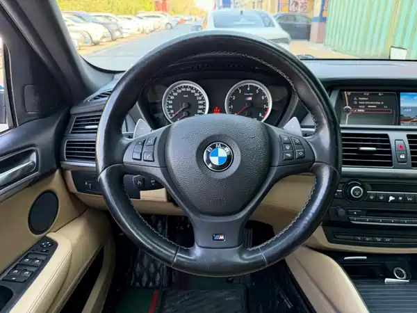 BMW X6 M 2010