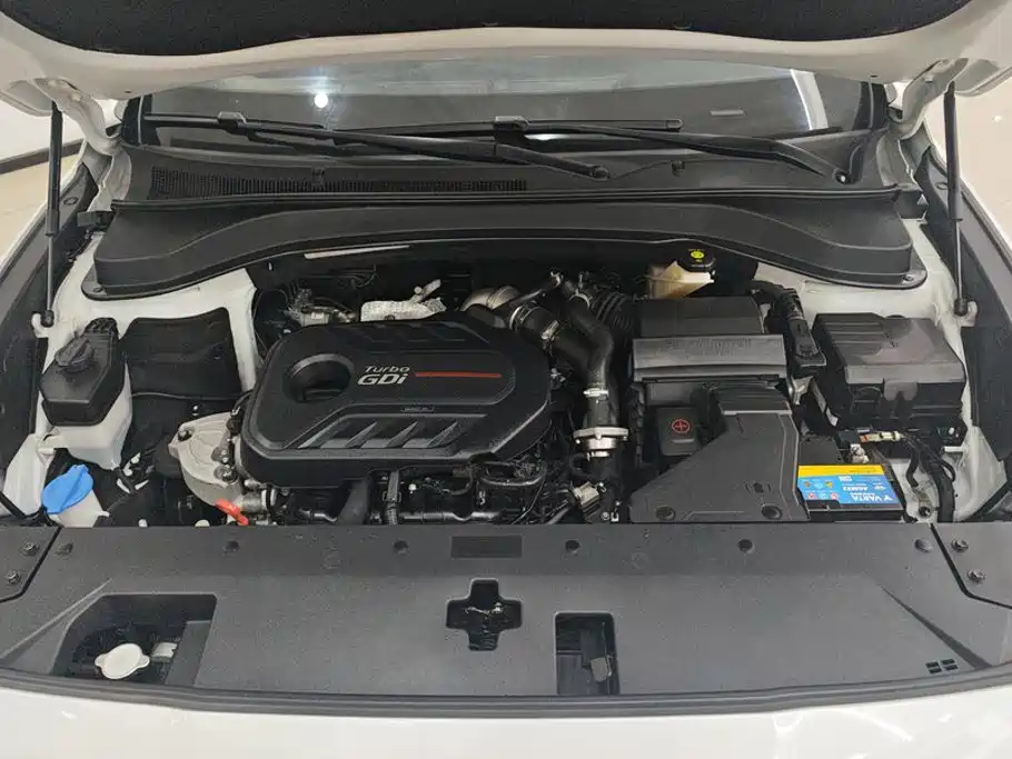 Hyundai Santa Fe 2020 — фото 10