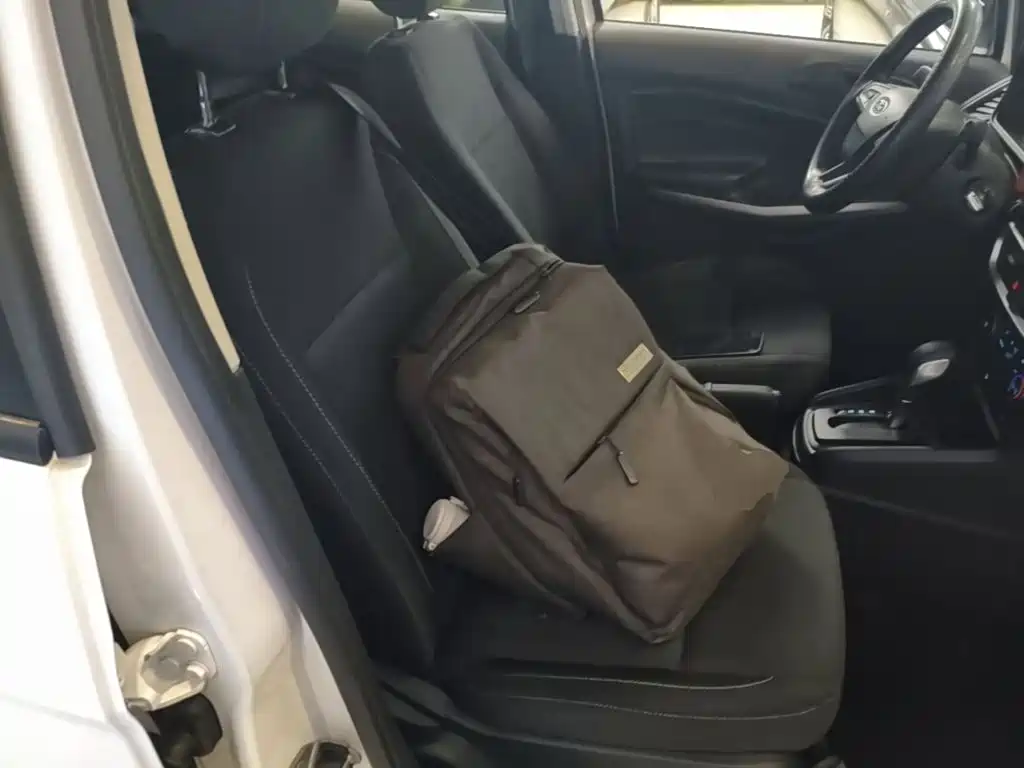 Ford EcoSport 2018 — фото 25
