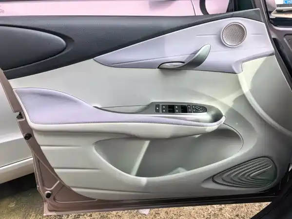 BYD Dolphin 2022