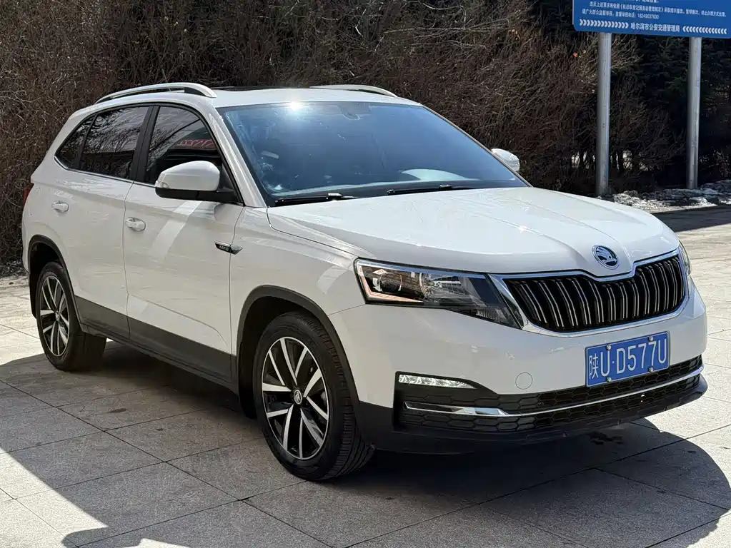 Skoda Kamiq 2024 — фото 3