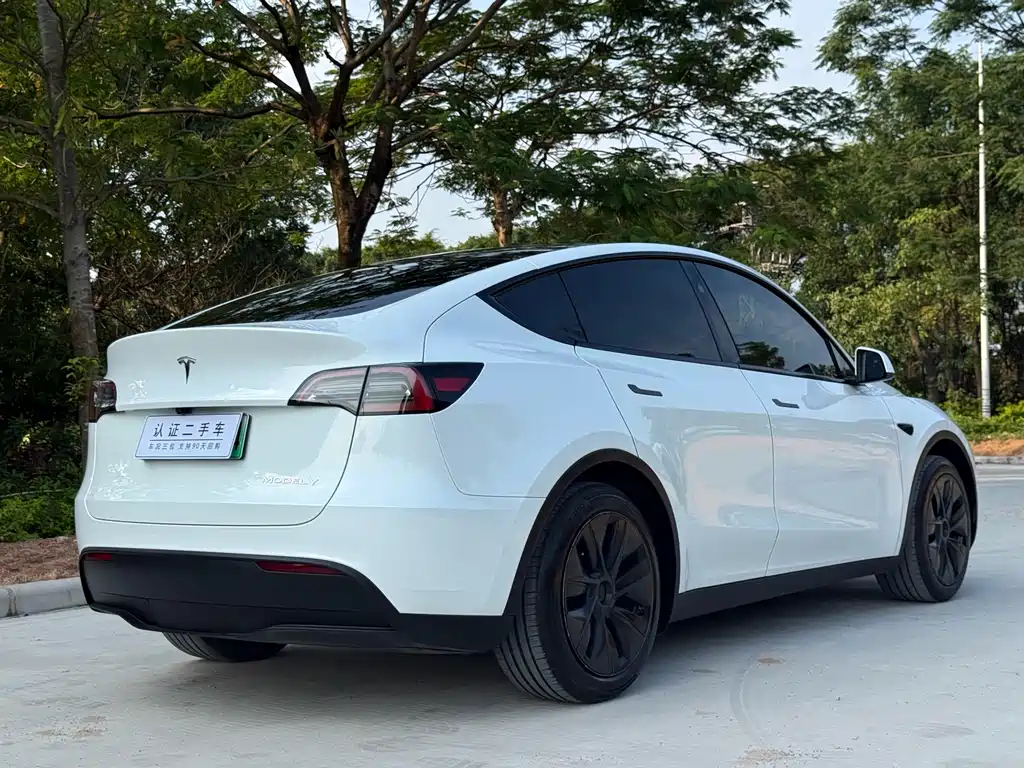 Tesla Model Y 2024 — фото 17