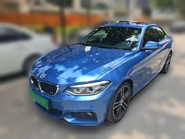 BMW 2 Series 2019