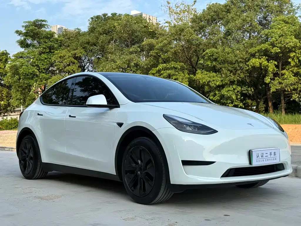 Tesla Model Y 2024 — фото 3