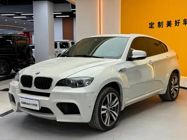 BMW X6 M 2010