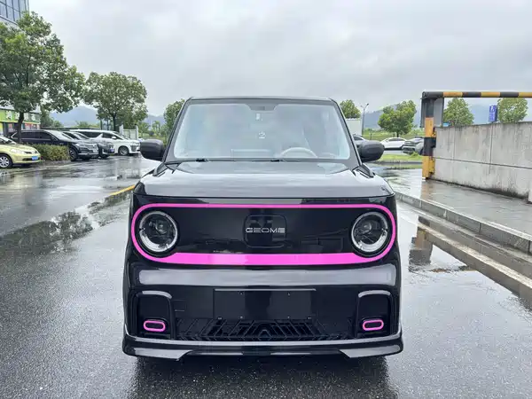 Geely Galaxy Panda 2024