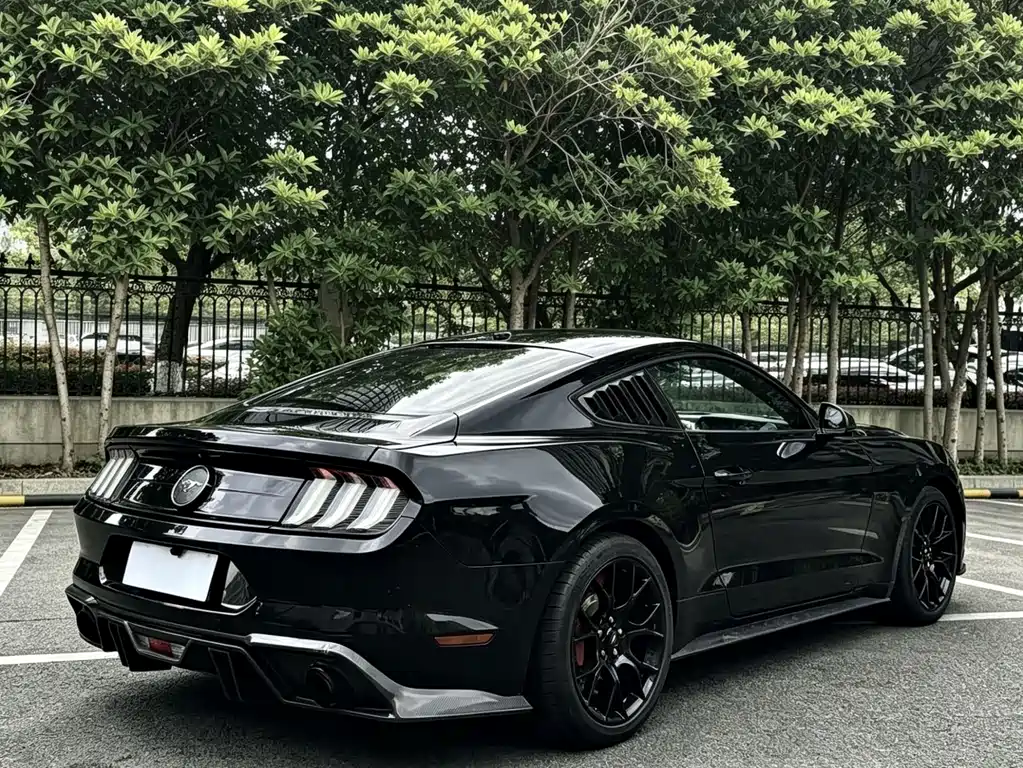 Ford Mustang 2019 — фото 11