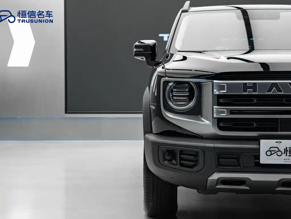 Haval Big Dog 2024 — фото 8