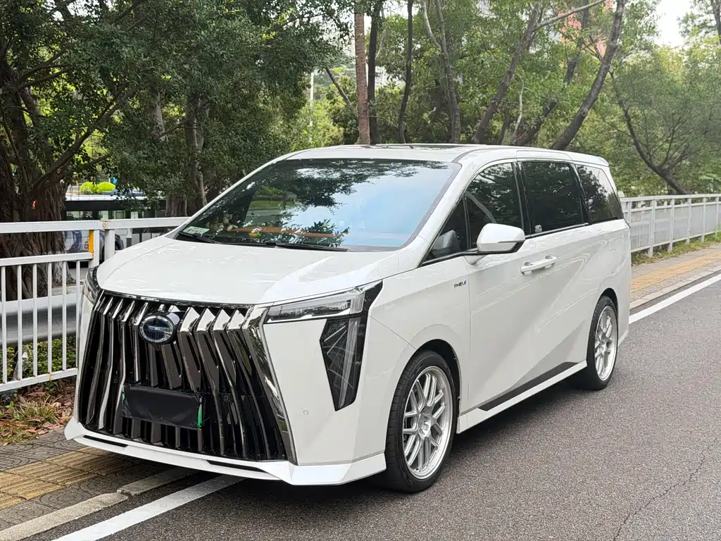 GAC Motor Trumpchi E9 2024 — фото 12