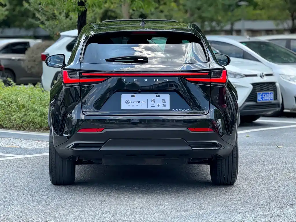 Lexus NX New Energy 2021 — фото 14