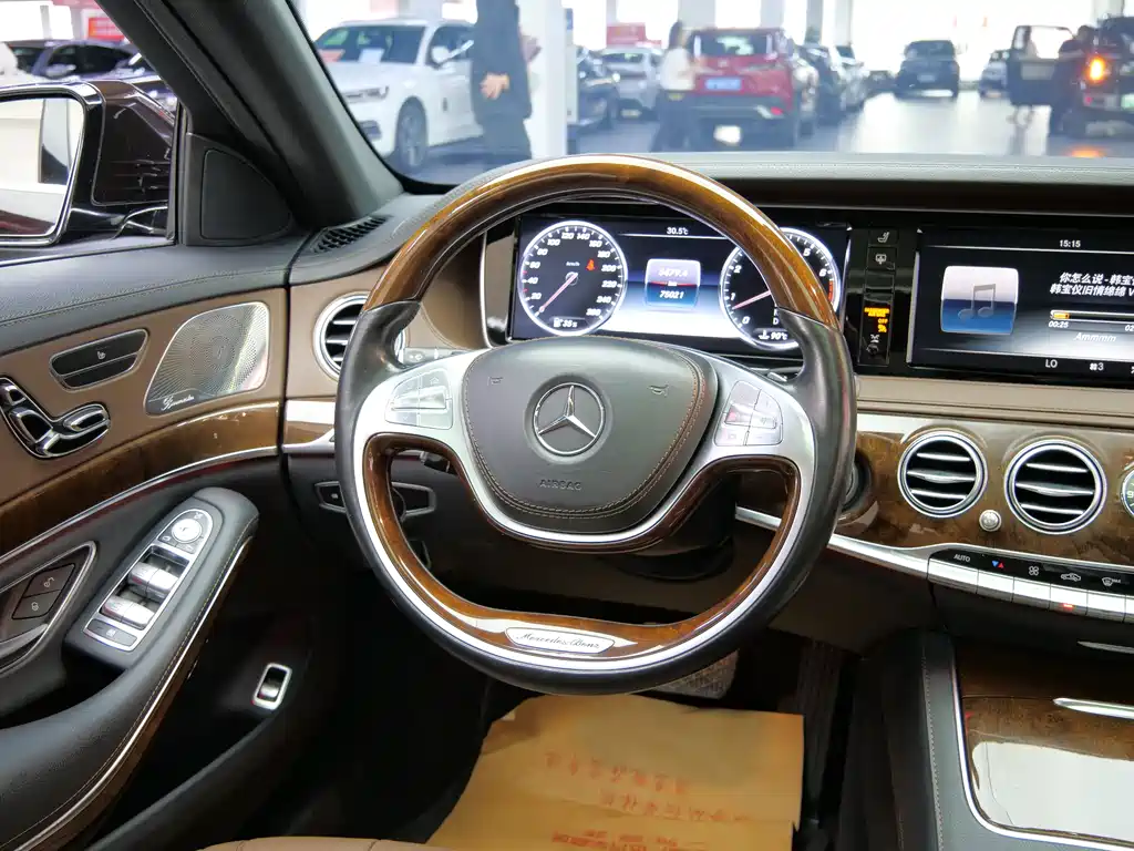 Mercedes-Benz S-Class 2015 — фото 19