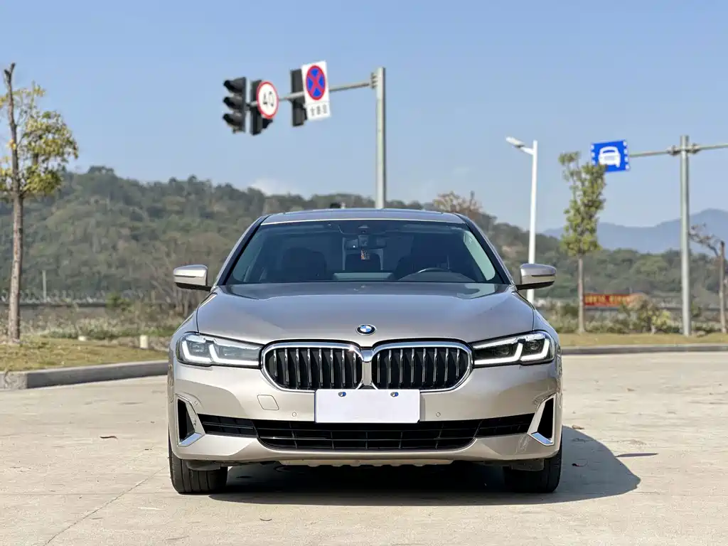 BMW 5 Series 2021