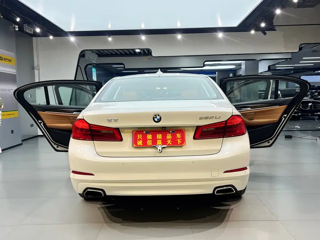 BMW 5 Series 2018 — фото 10