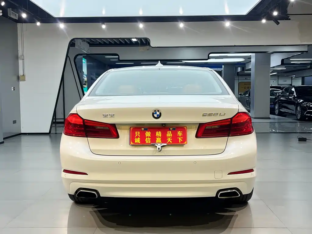 BMW 5 Series 2018 — фото 16