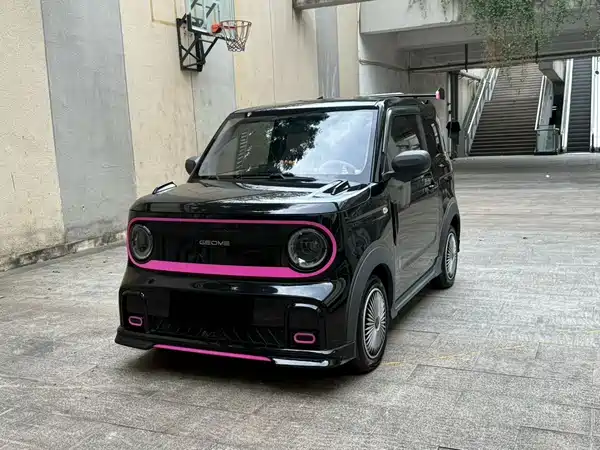 Geely Galaxy Panda 2024