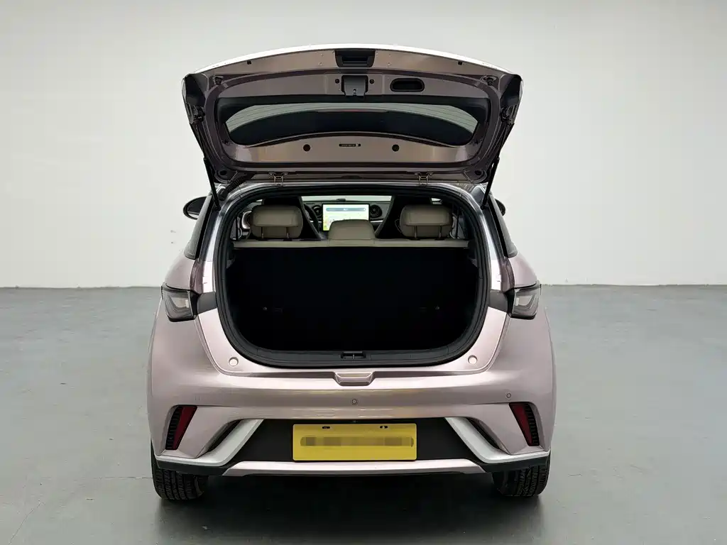 BYD Dolphin 2022