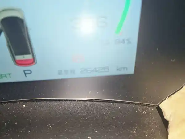 BYD Dolphin 2024