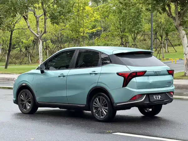 Neta V 2023