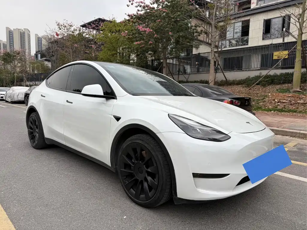 Tesla Model Y 2021 — фото 2