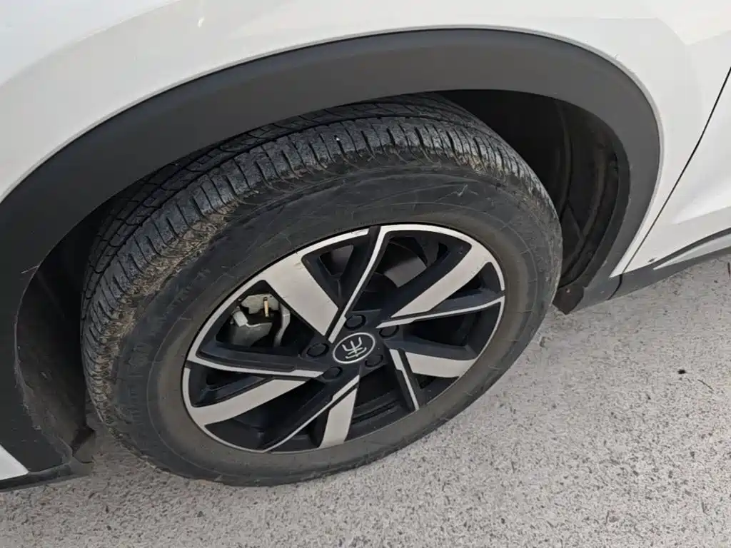 BYD Song Pro New Energy 2024 — фото 23