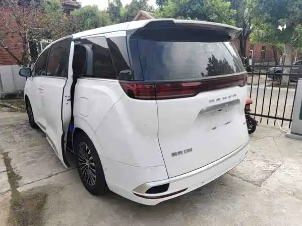 Denza D9 2024